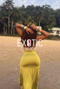 How to Book an Escort in South Africa