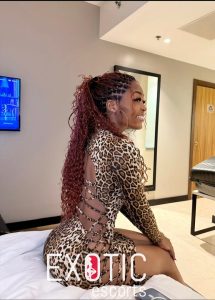 Magaliesburg Escorts 