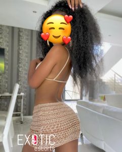 Tweespruit Escorts