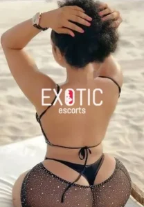 Stilfontein escorts
