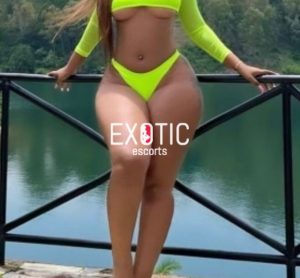 Acornhoek escorts