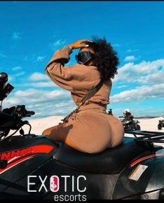 De Aar Escorts