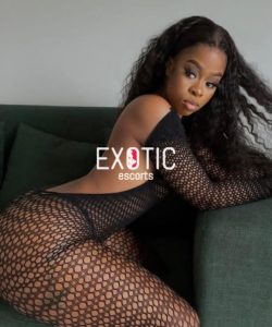 Babelegi escorts