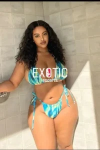 Bonnievale Escorts